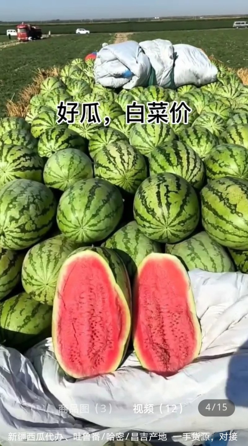 西瓜