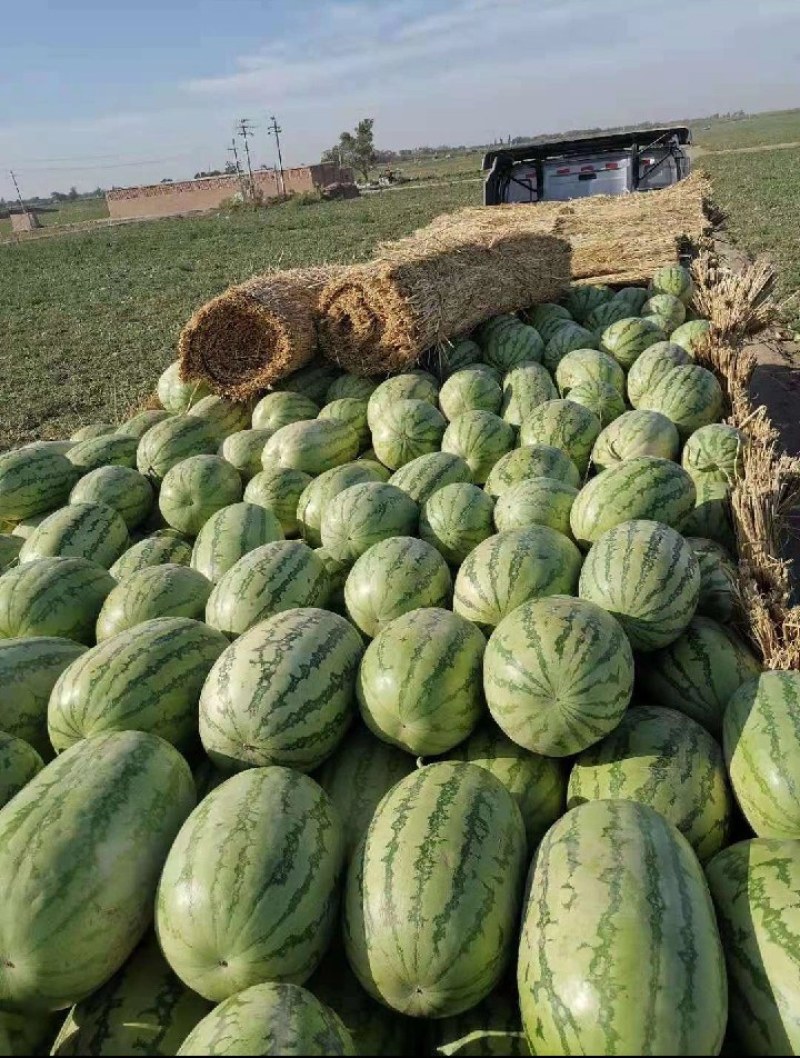 西瓜
