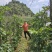 黄金百香果云南高山钦蜜九号香甜多汁现货大量供应团购批发