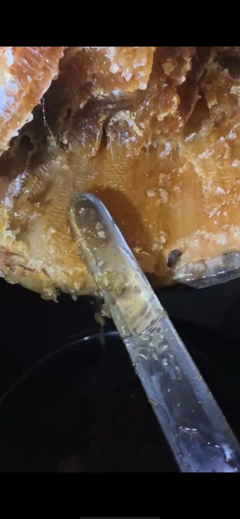 中华蜂野生土蜂蜜: