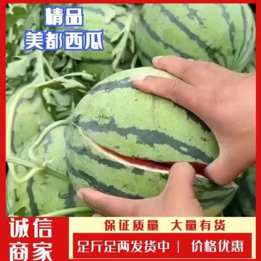 【美都】美都西瓜汁水多包鲜，全国供应商