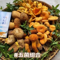 鲜菌组盒装礼盒