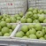 精品青黄冠，需要的联系