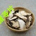 朱茯苓统货无熏无硫自然晾干产地东北无杂质猪苓片