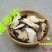 朱茯苓统货无熏无硫自然晾干产地东北无杂质猪苓片