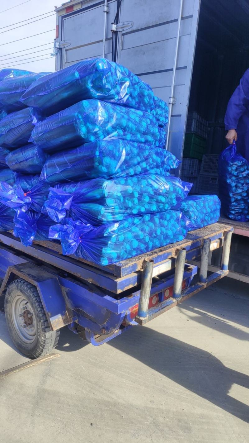 【产地供货】精品北茭，鲜货上市中，规格齐全，对接酒店食堂