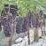 夏黑大量上市，自家果园，无代办费，