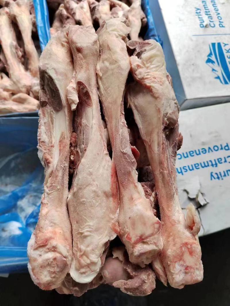 大羊双节腿骨，羊腿骨，羊棒骨。多肉羊棒骨。