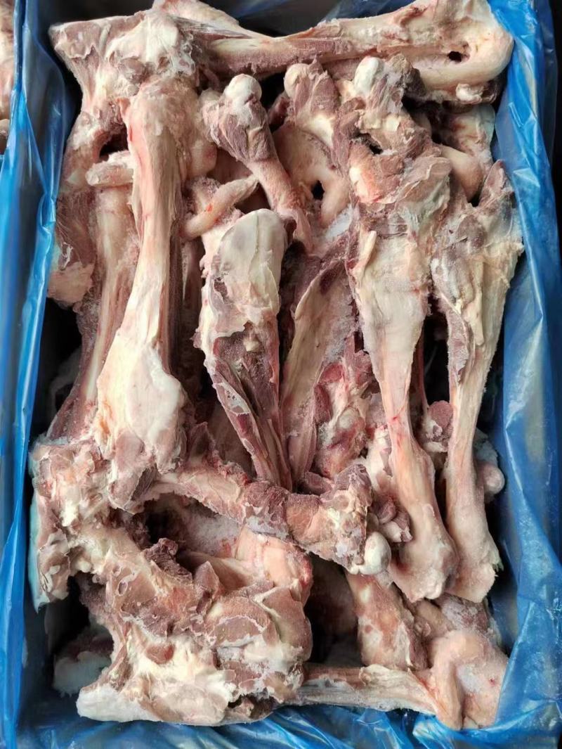 大羊双节腿骨，羊腿骨，羊棒骨。多肉羊棒骨。