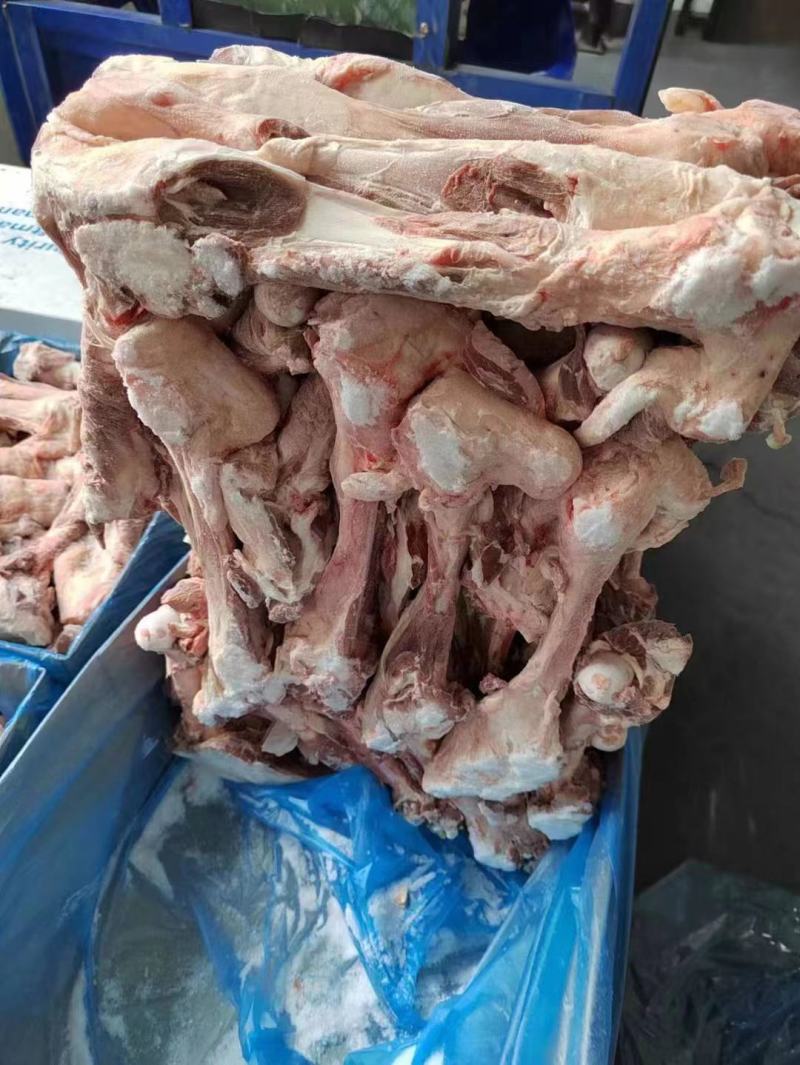 大羊双节腿骨，羊腿骨，羊棒骨。多肉羊棒骨。
