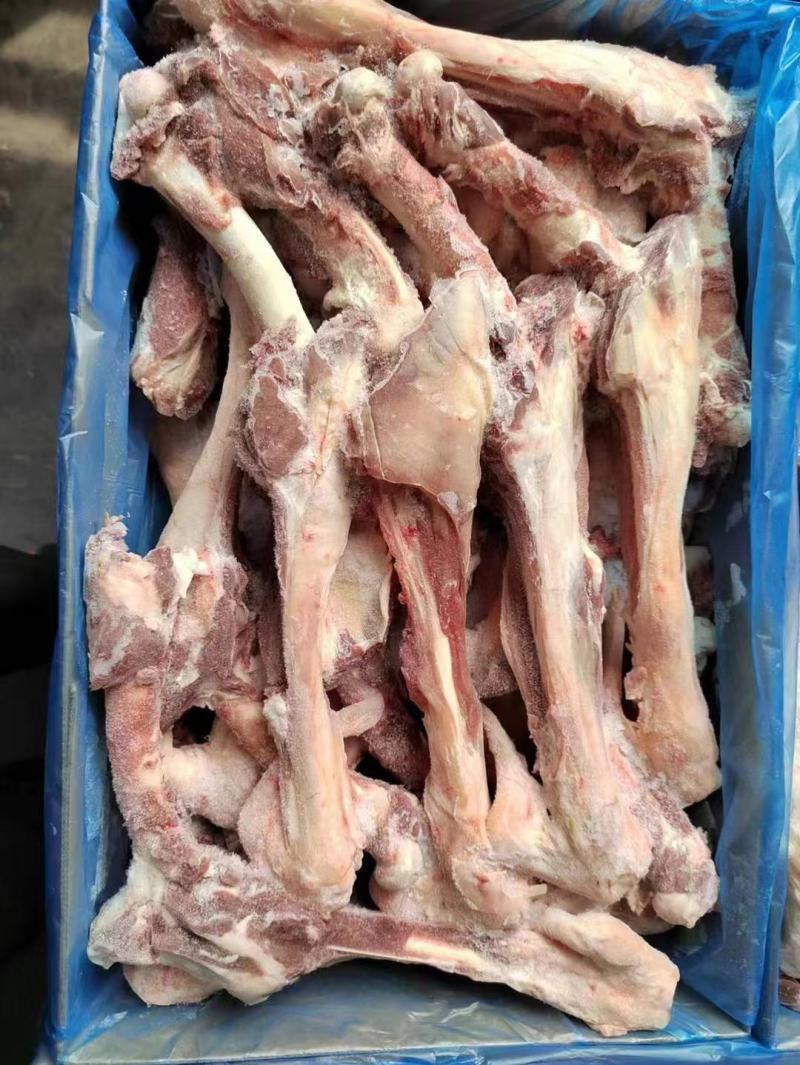 大羊双节腿骨，羊腿骨，羊棒骨。多肉羊棒骨。