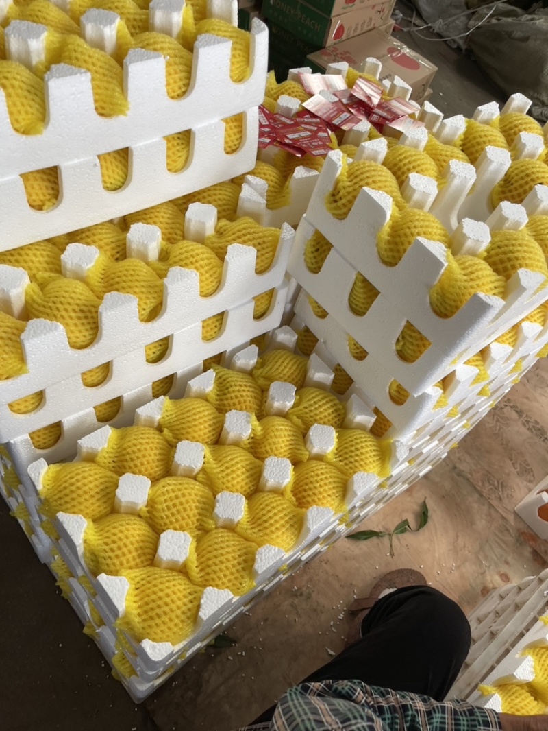 各种桃子，欢迎各位老板光临