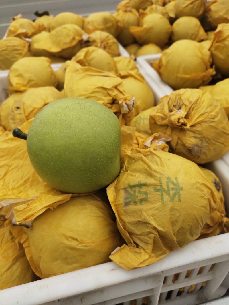 砀山黄冠青梨，口感好，无渣，核小，甘甜酥脆，汁水多，