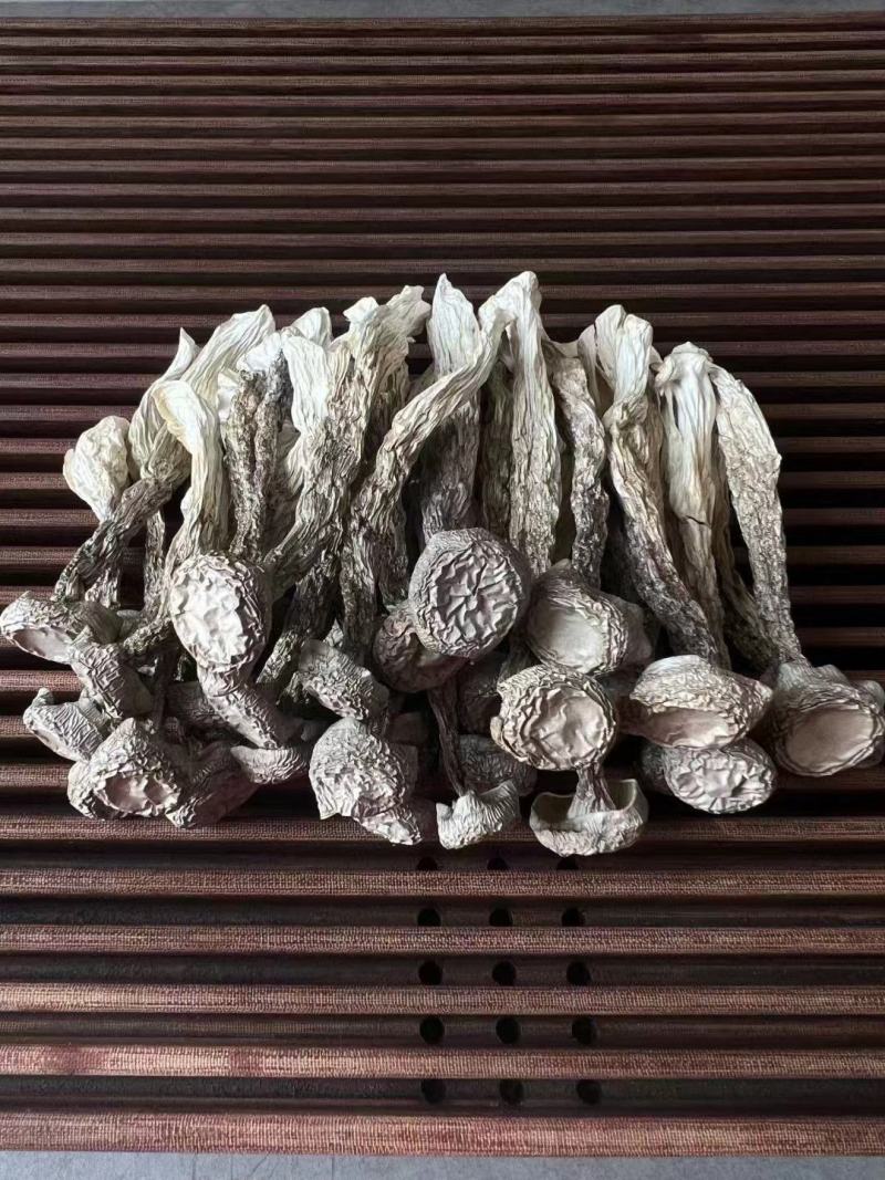 古田无硫干货鹿茸菇菌香浓郁品质保证量大从优