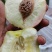 膜袋红不软大量上市口感脆甜，，颜色鲜亮货源充足