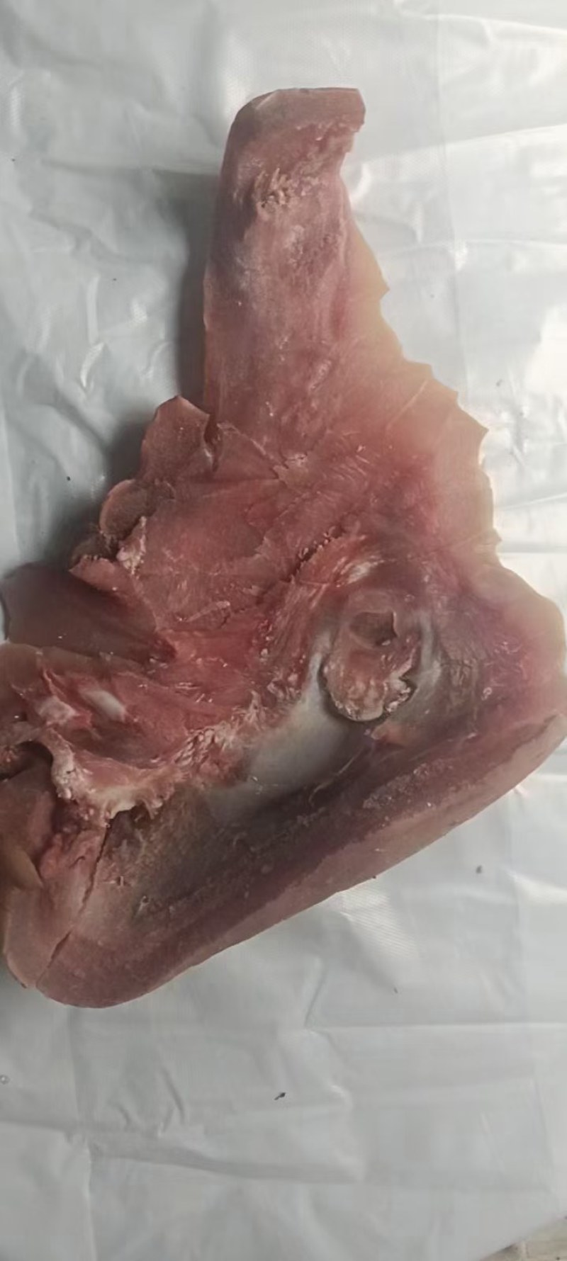 博爱牛副产品-牛头皮厂家现货长年大量量大优惠欢迎采购