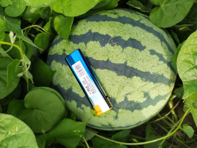 河南省灵宝，精品西瓜大量上市中，皮毛亮含糖量高品种多特大