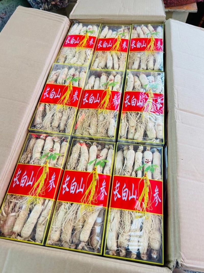 人参长白山原皮生晒老白参产地直供量大从优
