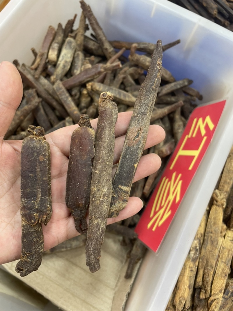 高丽参无糖长白山老参条各规格现货一手货源长期稳定供货