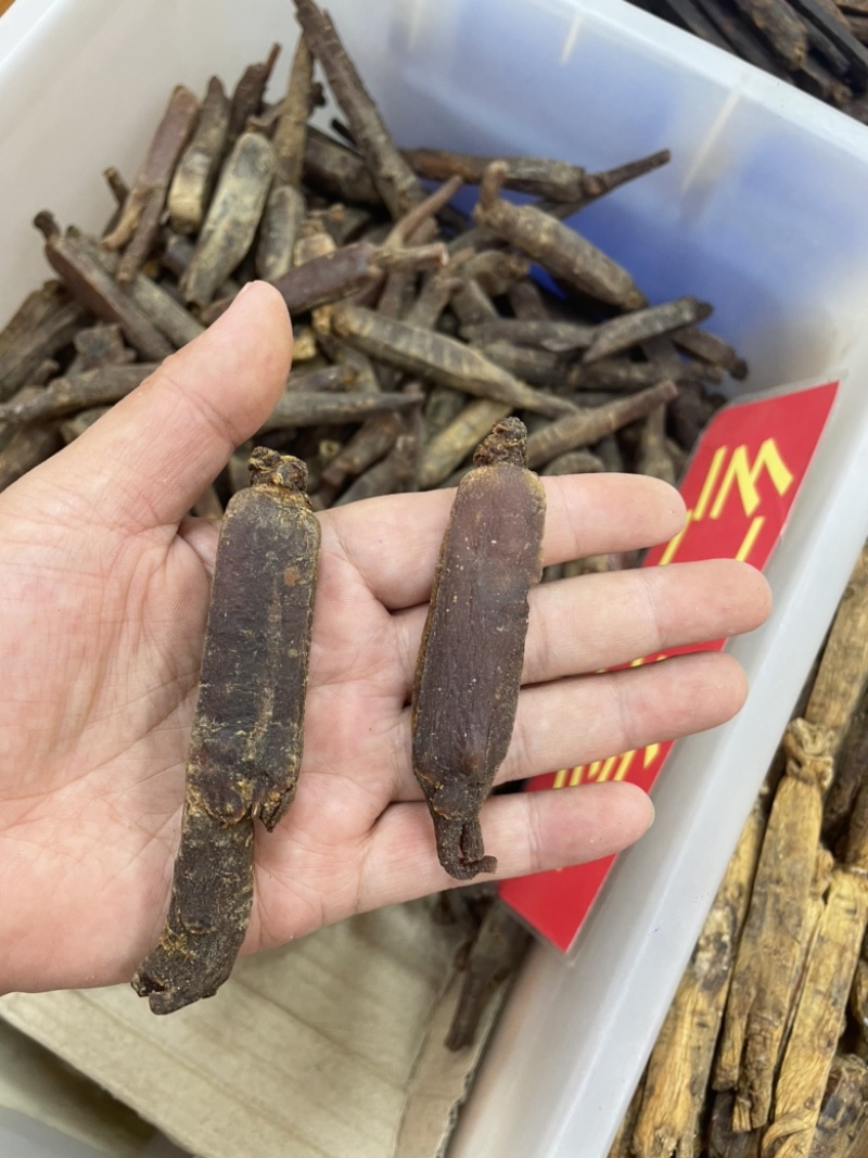 高丽参无糖长白山老参条各规格现货一手货源长期稳定供货