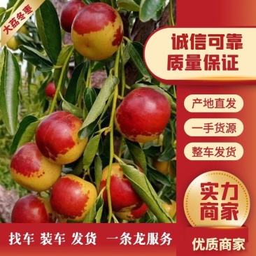 精品大荔冬枣多多美团一件代发对接电商平台