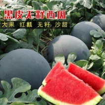 无籽西瓜黑皮无籽产地看货论价24小时在线服务