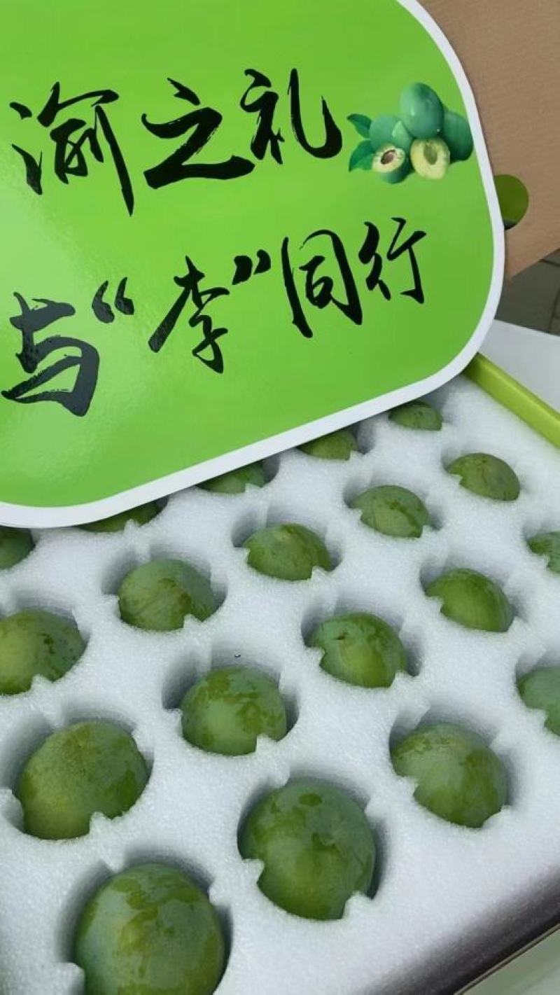 重庆巫山脆李