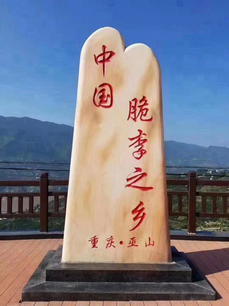 重庆巫山脆李
