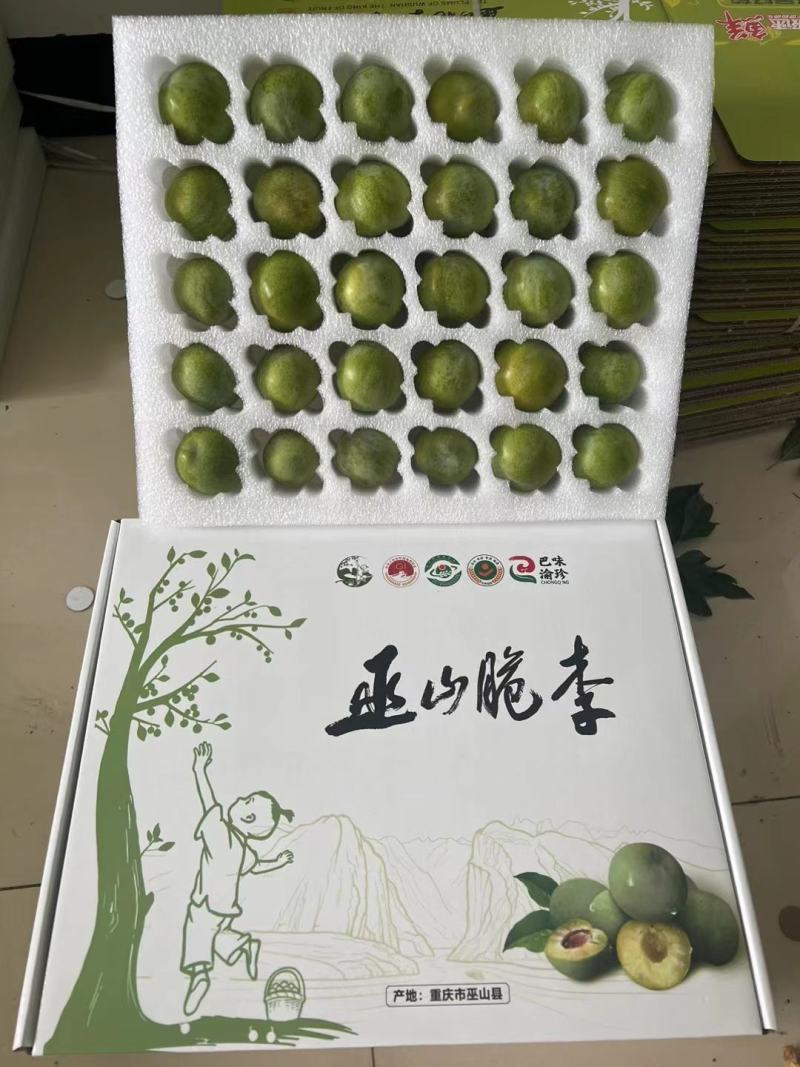 重庆巫山脆李