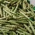 莴笋