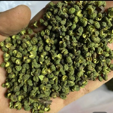 新鲜青花椒红花椒