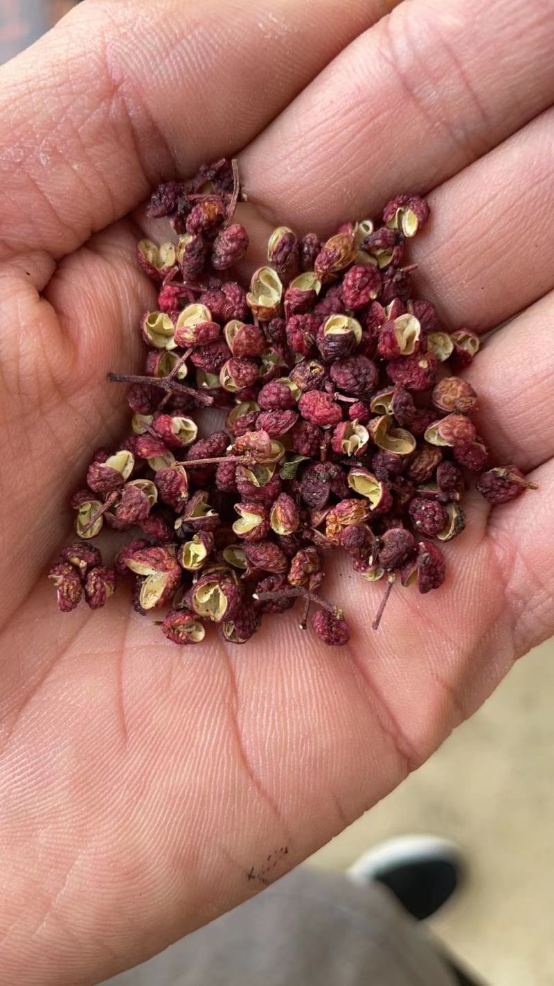 新鲜青花椒红花椒