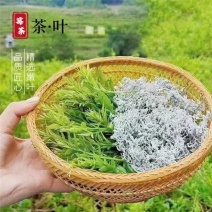 高山无污染张家界永顺莓茶（藤茶）富硒藤茶，基地自销