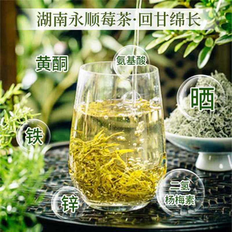 高山无污染张家界永顺莓茶（藤茶）富硒藤茶，基地自销
