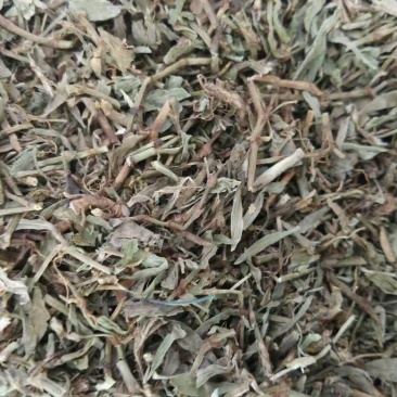 扁畜猪牙草