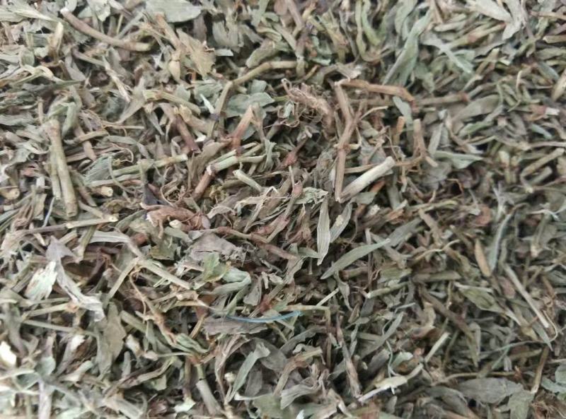 扁畜猪牙草