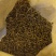 槐角有33吨