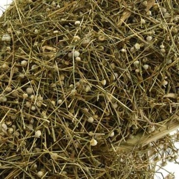 谷精草谷晶草