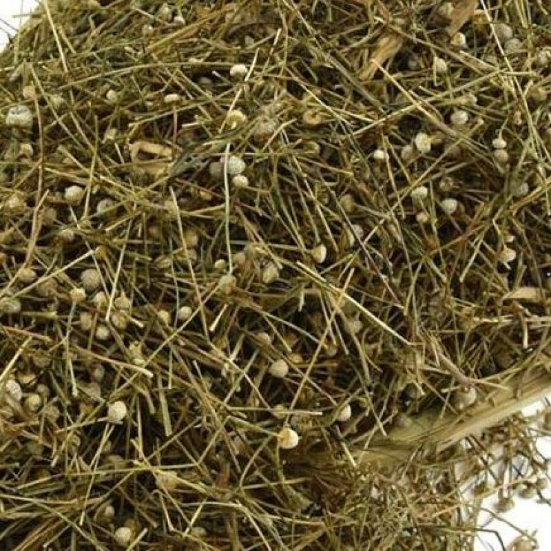 谷精草谷晶草