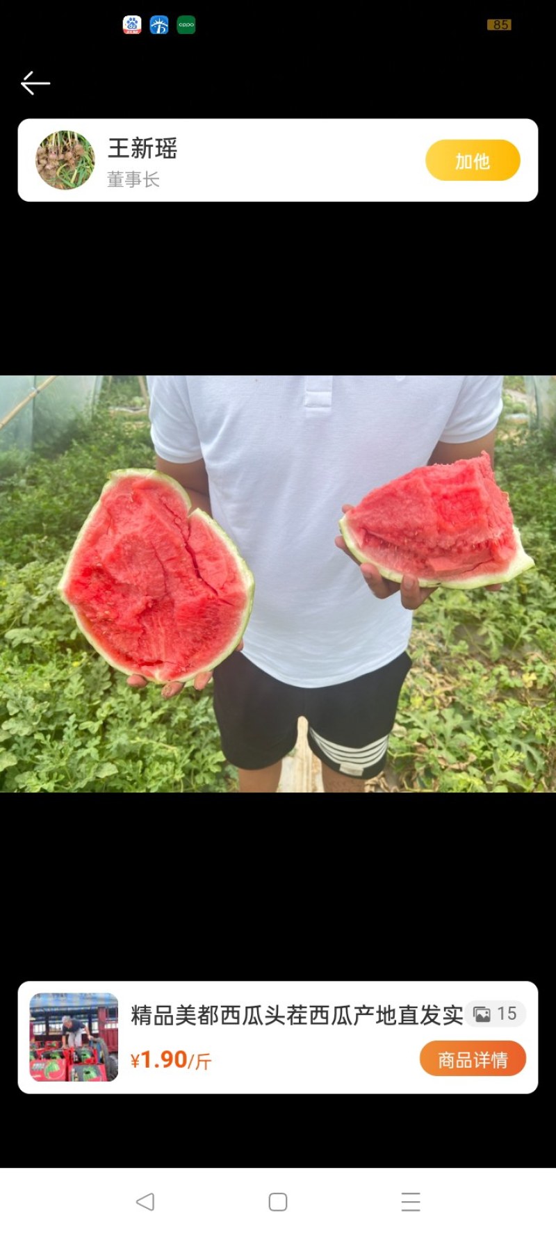 精品美都，冠龙，玉麒麟
