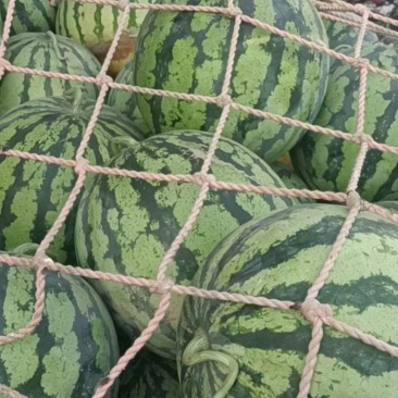 精品美都，冠龙，玉麒麟