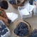 高品质南太湖夏黑精品果优等品价格美丽货源充足