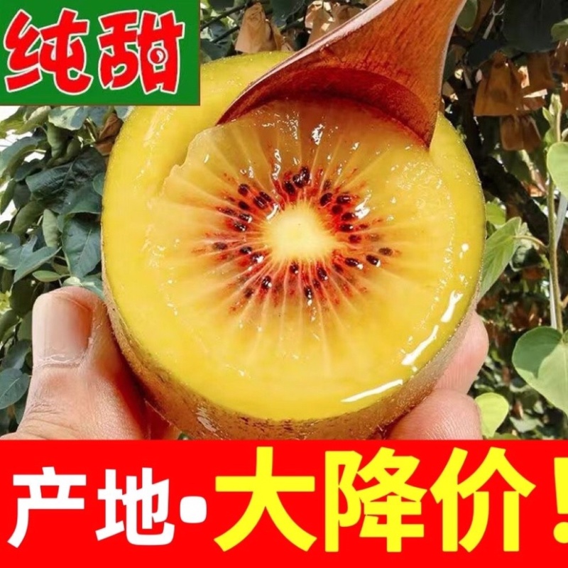 【推荐】红心猕猴桃一手货源直供全国各大市场电商商超