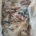 秘鲁鱿鱼干片，干度好，中号个头