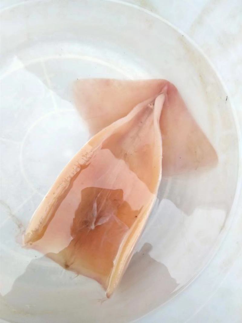 秘鲁鱿鱼干片，干度好，中号个头