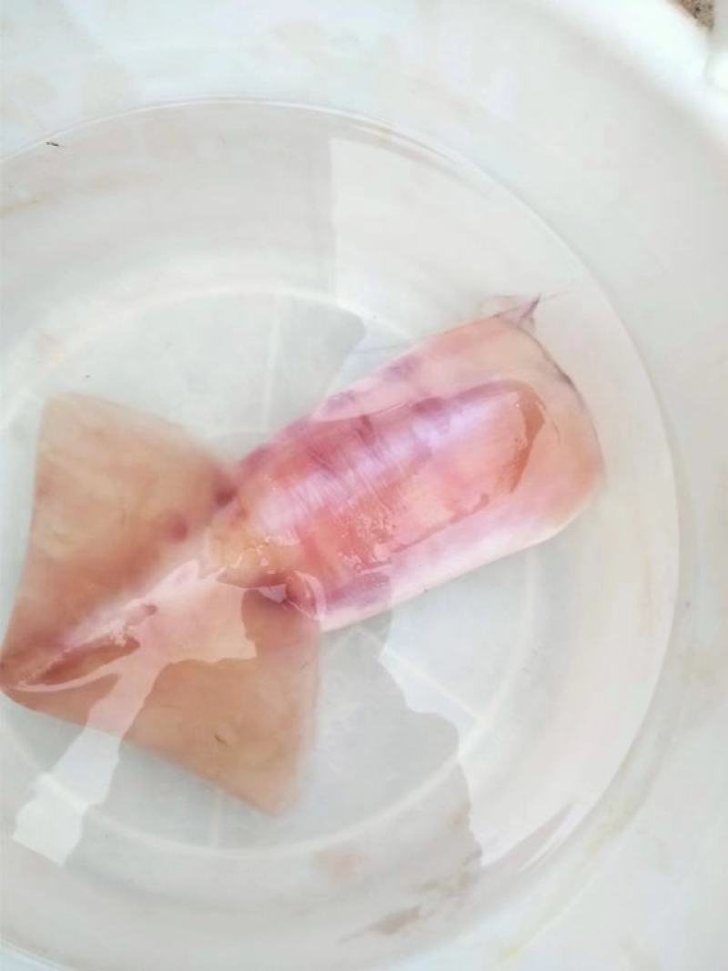 秘鲁鱿鱼干片，干度好，中号个头