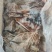 秘鲁鱿鱼干片，干度好，中号个头