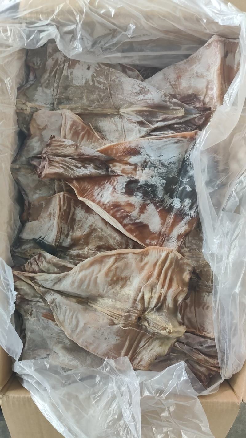 秘鲁鱿鱼干片，干度好，中号个头