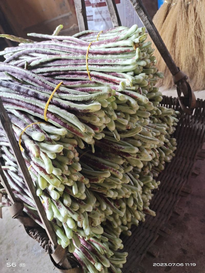 高海拔精品花豆