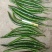 新鲜辣椒，青花椒